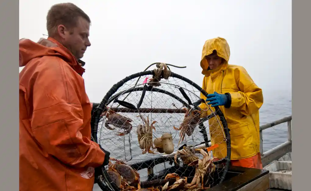 The Most Dangerous Jobs in the World and How Much They Pay 3 Crab Fisherman